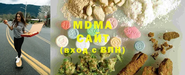 шишки Слюдянка